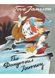 DANGEROUS JOURNEY HC