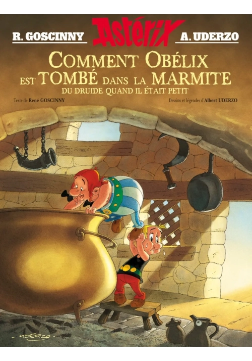 COMMENT OBELIX EST TOMBE DANS LA MARMITE