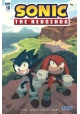 SONIC THE HEDGEHOG #10 10 COPY INCV FOURDRAINE