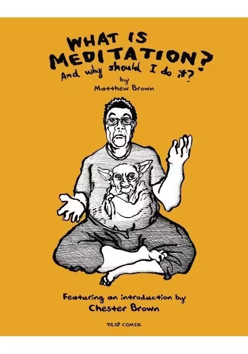 WHAT IS MEDITATION
