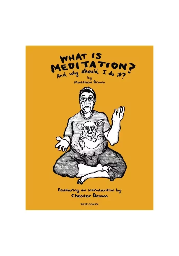 WHAT IS MEDITATION