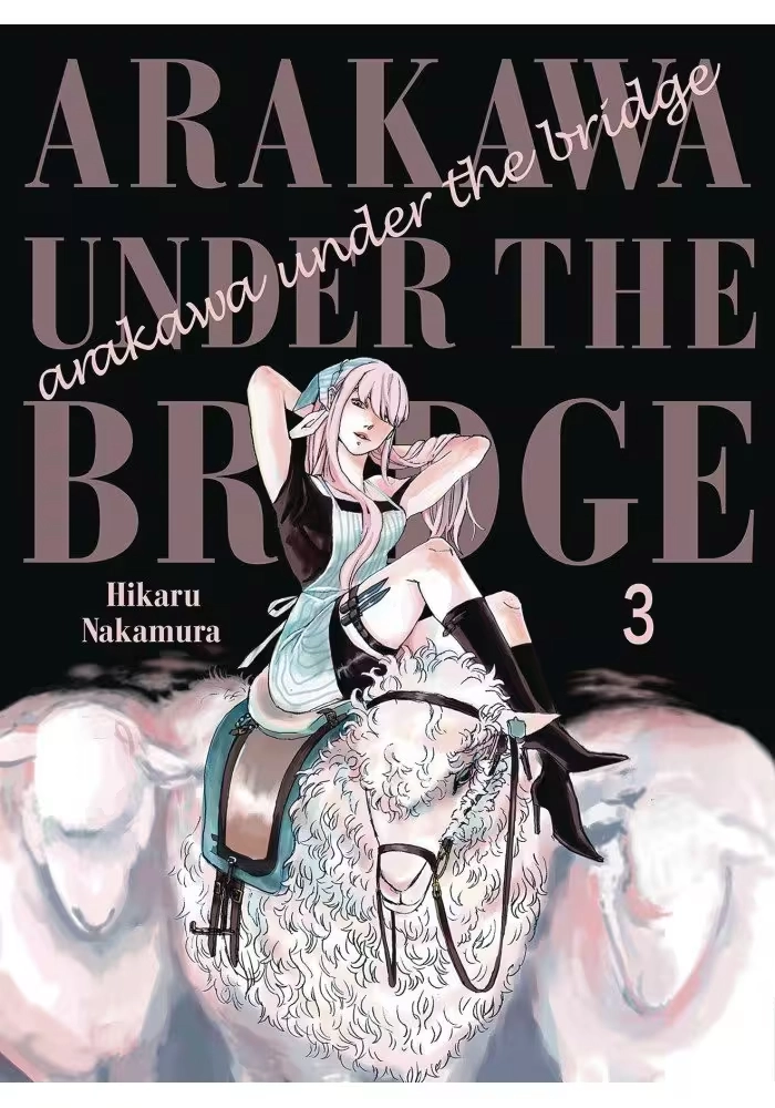 ARAKAWA UNDER THE BRIDGE GN VOL 06