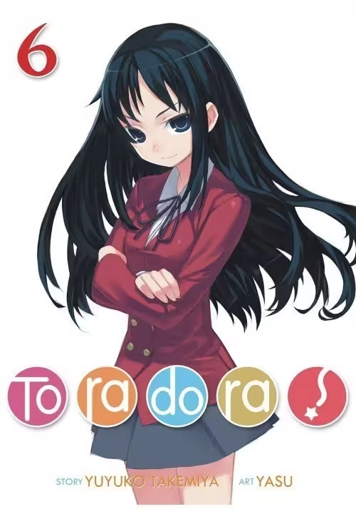 TORADORA LIGHT NOVEL VOL 06