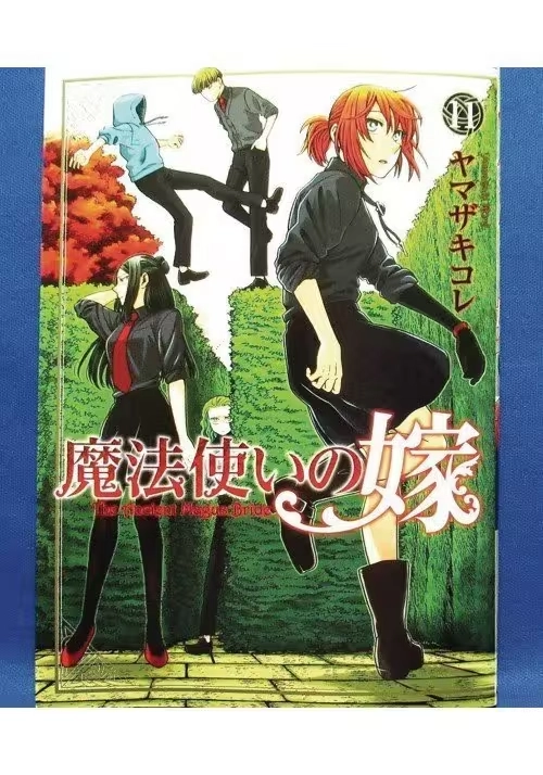 ANCIENT MAGUS BRIDE GN VOL 11